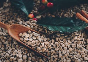 DISCOVER INDONESIA’S FINEST: PREMIUM ROBUSTA COFFEE AND COCOA POWDER FOR THE GLOBAL MARKET